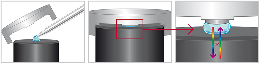 implen, nanophotometer, spectrophotometer, nanodrop alternative, nano drop, P-Class Page Sequence Image