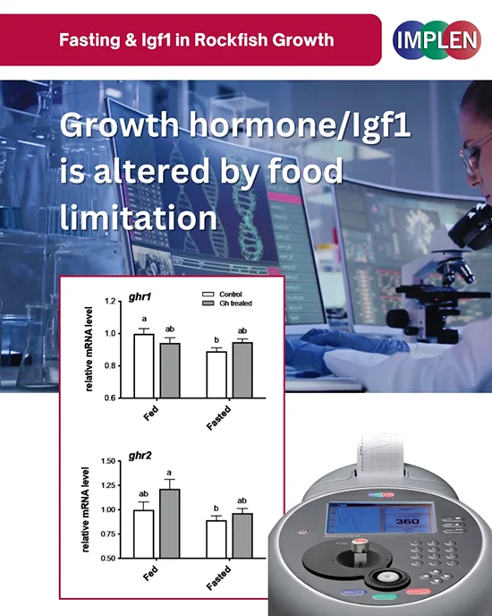 Implen Journal Club Fasting Alters Igf1 Signaling Pathways and Growth Regulation in Rockfish