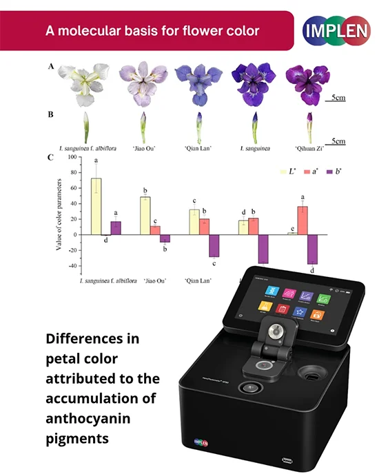 Professor Beers Journal Club molecular basis for flower color variation3