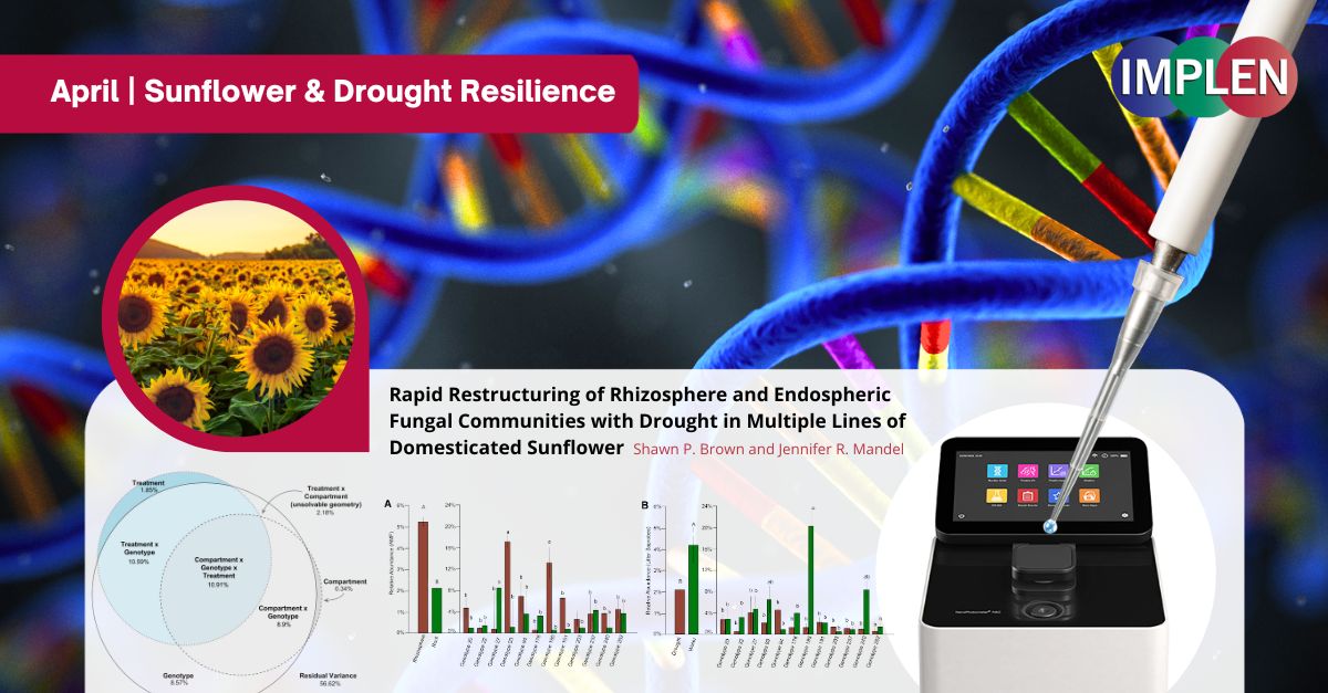 sunflower-drought-resilience-Implen-nanophotometer-UV-Vis-nano-spectrophotometer-journal-club